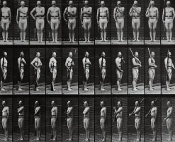 Boutiques de musées Panneaux Acryliques|Toiles Sur Châssis-Animal Locomotion : homme au fusil (panneaux acryliques)