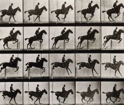 Sale Boutiques de musées Animal Locomotion : Saut d'obstacle, cheval noir (toiles sur châssis)