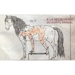 Boutiques de musées Livres D'Art-Beautés intérieures - L'animal à corps ouvert