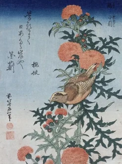 Clearance Boutiques de musées Bec croisé et chardon (toiles encadrées)