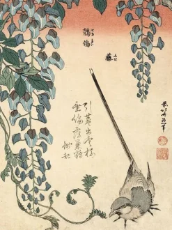 Sale Boutiques de musées Bergeronnette et glycine (panneaux aluminium)