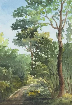 Boutiques de musées Panneaux Acryliques|Toiles Encadrées-Bois de l'Etoile à Bois Guillaume (près de Rouen) (panneaux acryliques)