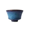 Discount Boutiques de musées Bol à thé Chine Bleu océan - ZaoZam