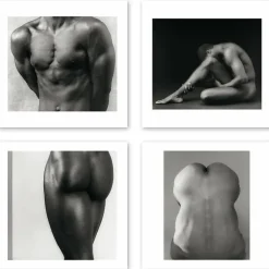 Sale Boutiques de musées Boîte de 15 cartes & enveloppes - Robert Mapplethorpe
