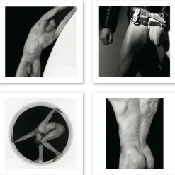 Sale Boutiques de musées Boîte de 15 cartes & enveloppes - Robert Mapplethorpe