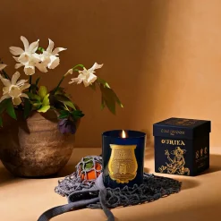Boutiques de musées Senteurs-Bougie Classique 270g Ourika - Trudon