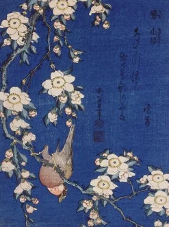 Outlet Boutiques de musées Bouvreuil et cerisier pleureur en fleur (affiches d'art)