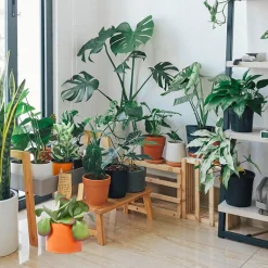 Boutiques de musées Art De La Maison-Cache-pot XXL - Béton Orange