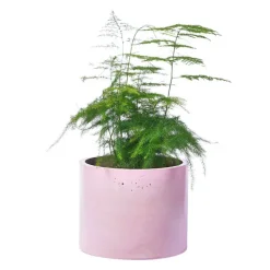 Boutiques de musées Art De La Maison-Cache-pot XXL - Béton Rose pastel