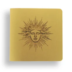 Online Boutiques de musées Cahier - Apollon ou Soleil