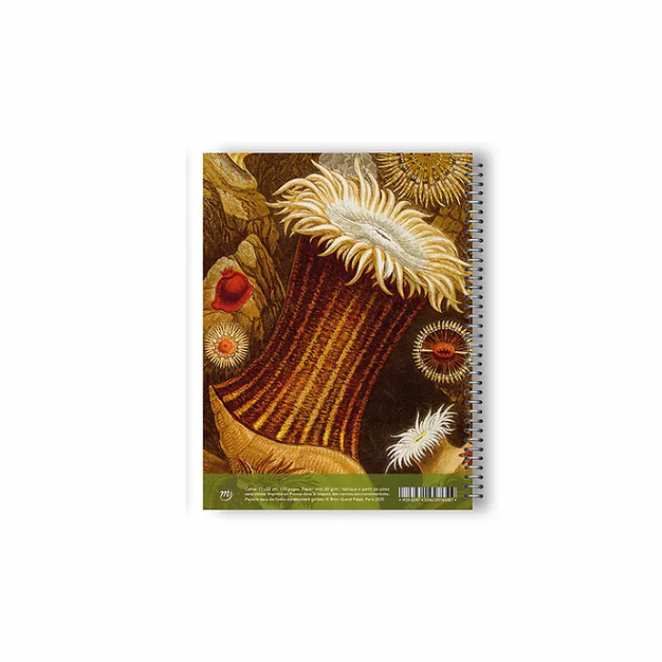 Clearance Boutiques de musées Cahier à spirale Philip Henry Gosse - Anémones de mer et corail