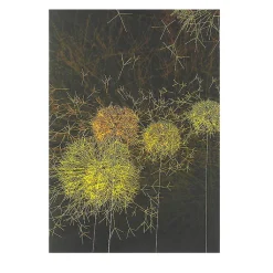 Outlet Boutiques de musées Cahier Artistes et robots - Les Pissenlits