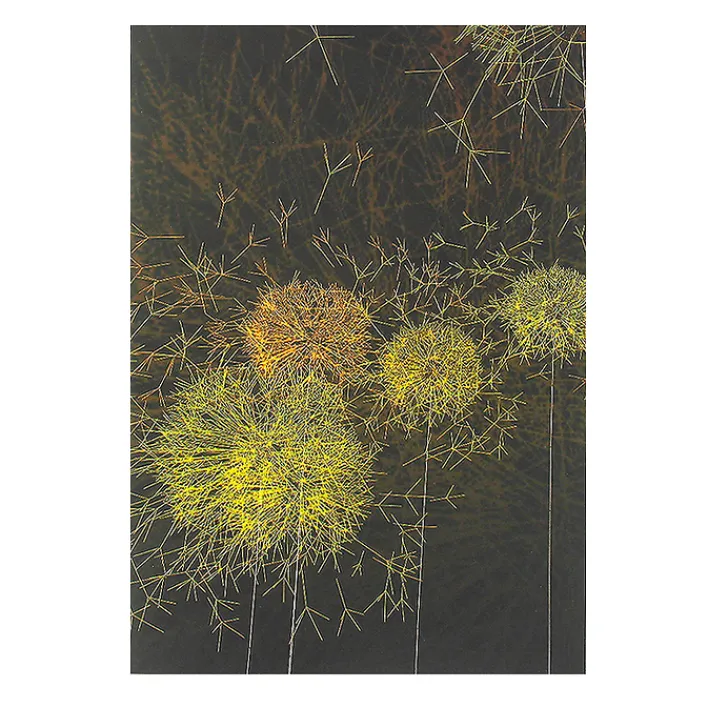 Outlet Boutiques de musées Cahier Artistes et robots - Les Pissenlits