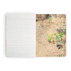 Best Boutiques de musées Cahier Bruno Liljefors - Le Chat Jeppe dormant au soleil du printemps, 1886