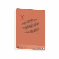 Boutiques de musées Cahiers Et Carnets-Cahier Château de Fontainebleau - Tomber à pic