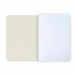 Boutiques de musées Cahiers Et Carnets-Cahier Edgar Degas - La classe de danse, vers 1873-1876