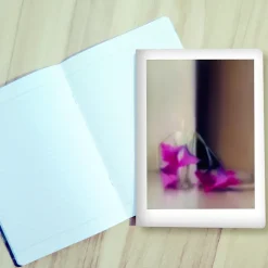 Sale Boutiques de musées Cahier Gerhard Richter - Blumen, 1994