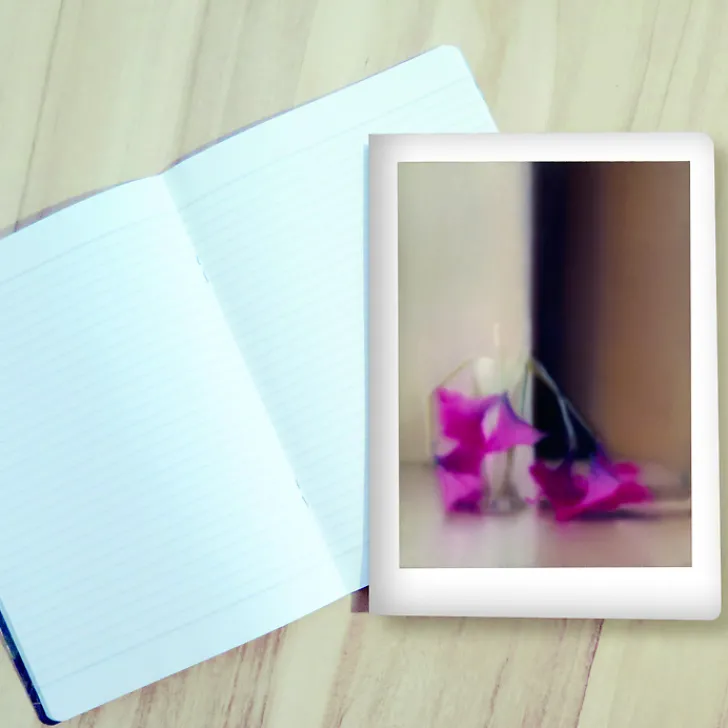 Sale Boutiques de musées Cahier Gerhard Richter - Blumen, 1994