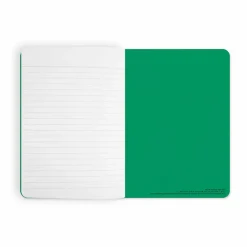 Boutiques de musées Cahiers Et Carnets-Cahier Henri Matisse - La Robe rayée, 15 et 26 janvier 1938