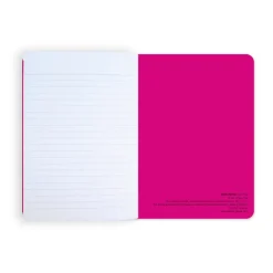 Boutiques de musées Cahiers Et Carnets-Cahier Henri Matisse - Nus bleus IV & II