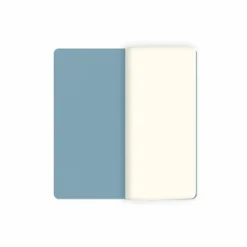 Best Boutiques de musées Cahier long Amedeo Modigliani - Portrait de Madame Hanka Zborowska, 1918-1919