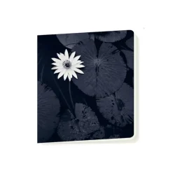 New Boutiques de musées Cahier Michael Kenna - La fleur de lotus de Mamta, Viengkeo, Luang Prabang, Laos, 2015