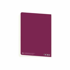 Boutiques de musées Cahiers Et Carnets-Cahier Théophile Alexandre Steinlen - Le Chat noir, 1895