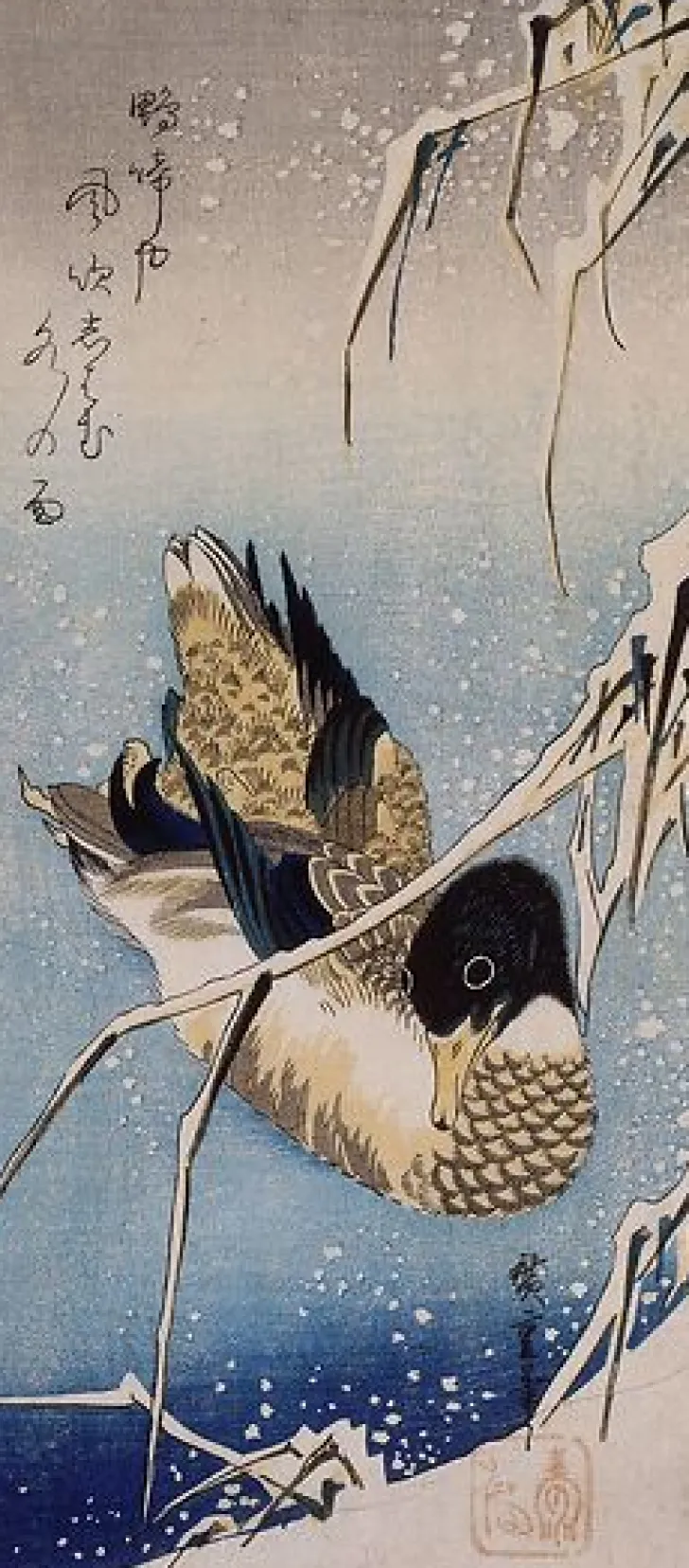 Boutiques de musées Toiles Sur Châssis|Toiles Sans Cadre-Canard et roseaux sous la neige (toiles sur châssis)