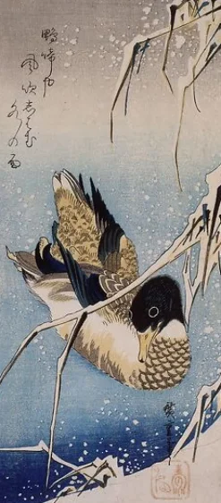 Boutiques de musées Canard et roseaux sous la neige (toiles encadrées)