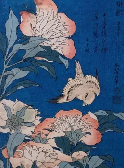 Boutiques de musées Affiches D'Art Encadrées-Canari et pivoines (affiches d'art encadrées)