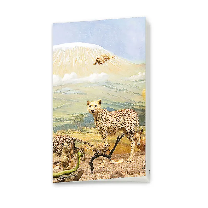 Boutiques de musées Cahiers Et Carnets-Carnet - Diorama du Kilimandjaro