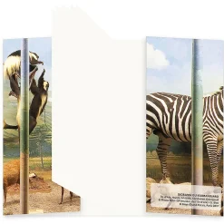 Boutiques de musées Cahiers Et Carnets-Carnet - Diorama du Kilimandjaro