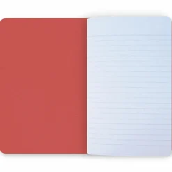 Boutiques de musées Cahiers Et Carnets-Carnet Chaïm Soutine - La Femme en rouge