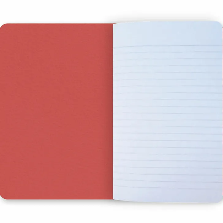 Boutiques de musées Cahiers Et Carnets-Carnet Chaïm Soutine - La Femme en rouge