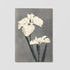 Online Boutiques de musées Carnet de notes - Fleurs japonaises
