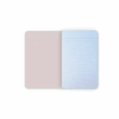 Sale Boutiques de musées Carnet Edgar Degas - Ballet dit aussi L'Étoile, vers 1876