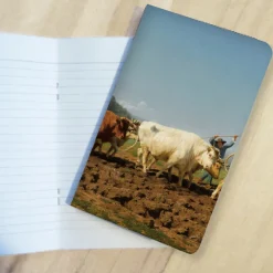 Discount Boutiques de musées Carnet Rosa Bonheur - Labourage nivernais dit aussi Le Sombrage