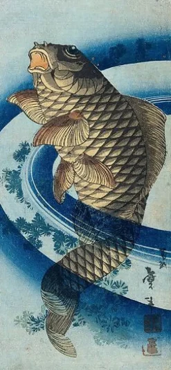 Boutiques de musées Toiles Encadrées|Toiles Sur Châssis-Carpe remontant le courant (toiles encadrées)