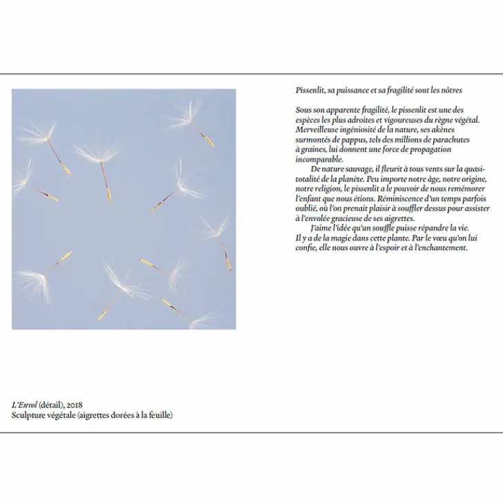 Boutiques de musées Catalogues D'Exposition-Carte blanche à Duy Anh Nhan Duc - Catalogue d'exposition