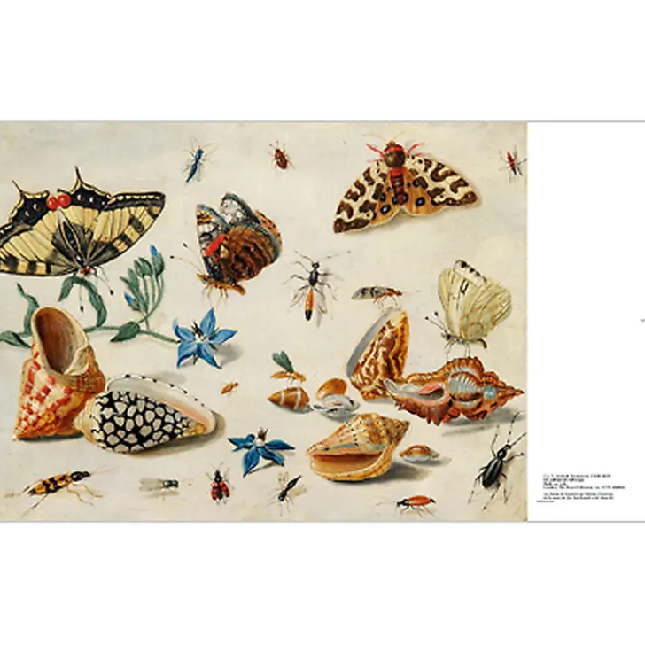 Boutiques de musées Catalogues D'Exposition-Catalogue d'exposition - Beauté Animale