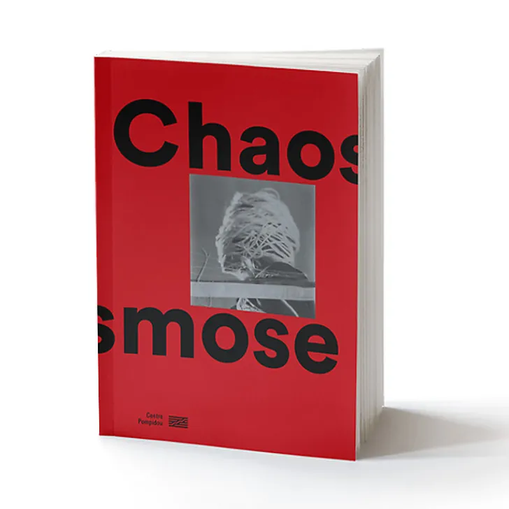 Online Boutiques de musées Chaosmose - Catalogue de l'exposition