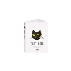 Boutiques de musées Livres Jeunesse-Chat noir Pop-up
