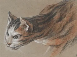 Boutiques de musées Panneaux Aluminium|Panneaux Acryliques-Chat projetant sa tête en avant (panneaux aluminium)