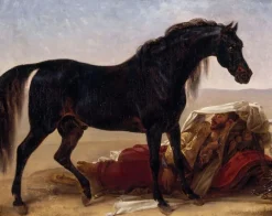 Best Boutiques de musées Cheval arabe (toiles sur châssis)