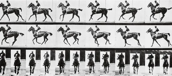 Discount Boutiques de musées Cheval au galop (affiches d'art)