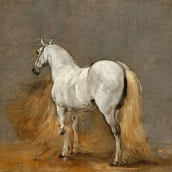 Discount Boutiques de musées Cheval blanc. Etude (toiles sur châssis)