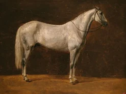 Boutiques de musées Toiles Encadrées|Toiles Sans Cadre-Cheval de Napoléon : "Le Sahara" (toiles encadrées)