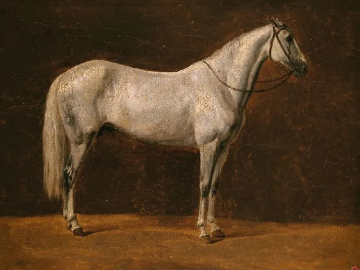 Sale Boutiques de musées Cheval de Napoléon : "Le Sahara" (panneaux aluminium)