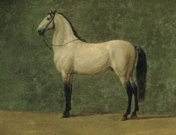 Boutiques de musées Panneaux Aluminium|Panneaux Acryliques-Cheval de Napoléon 1er "le Familier" (panneaux aluminium)