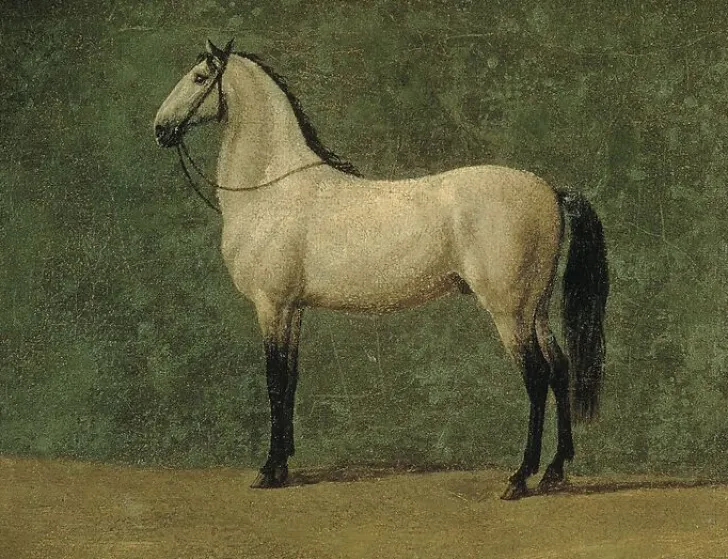 Boutiques de musées Panneaux Aluminium|Panneaux Acryliques-Cheval de Napoléon 1er "le Familier" (panneaux aluminium)